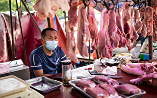 大陆猪肉价格大跌 当局喊话民众多吃猪肉惹议