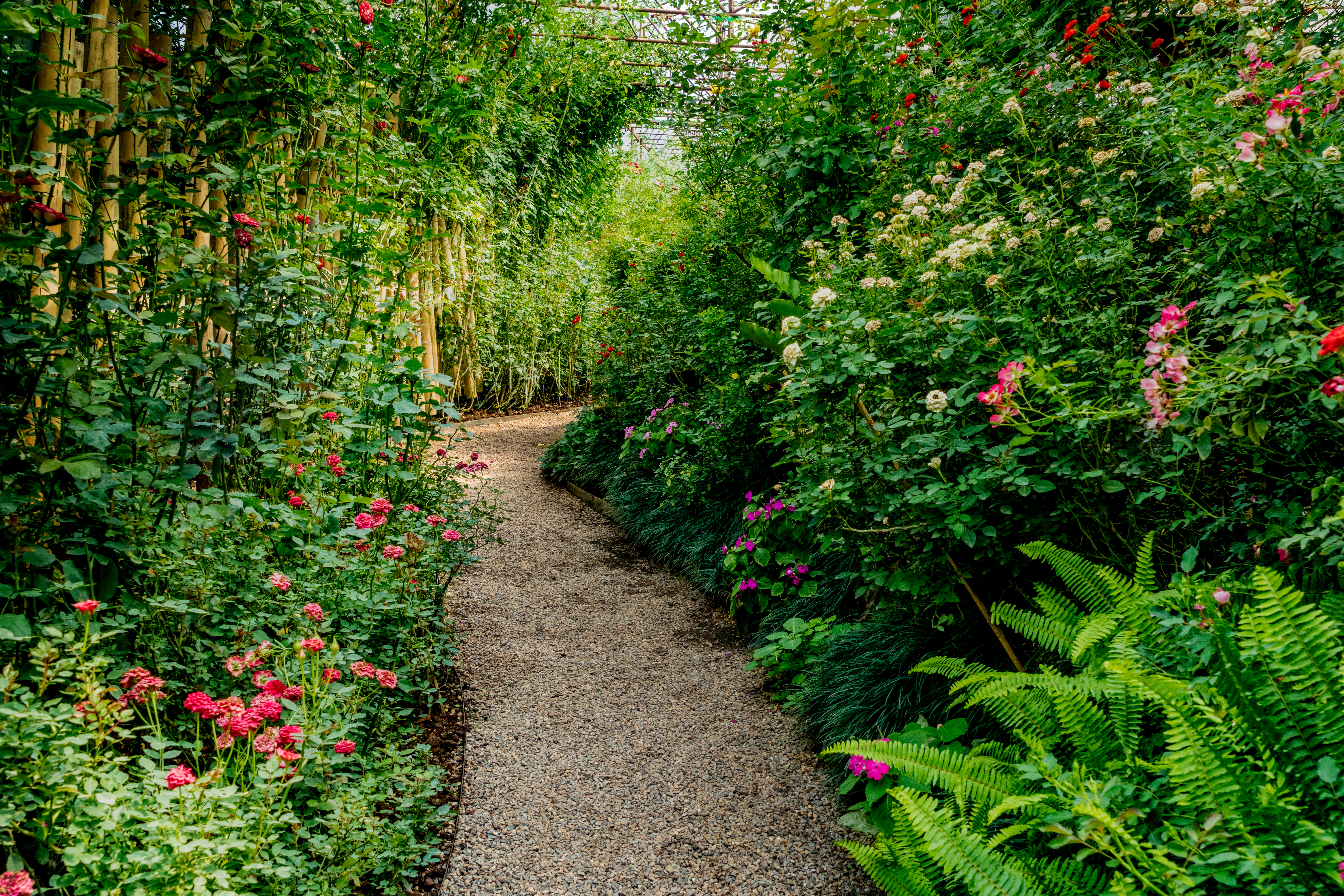 療癒花園裡，卵石曲徑，讓你有尋幽訪勝的期待。（Shutterstock）
