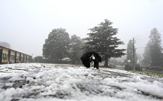 悉尼迎來25年來最冷一天 新州偏遠地區白雪皚皚