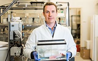 科學家找到器官和肢體再生信號