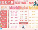 新北疫苗將開打 五八林建立聯合工作機制