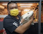 来台湾东北大厨：疫情是杀手 抵不过台人情味