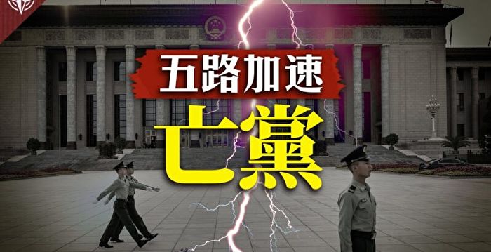 【网海拾贝】中共最有可能是集体坏死