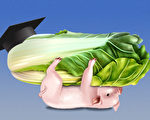 【財商天下】土豬拱白菜 勵志還是可怕？