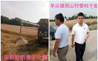 江蘇農民抗議政府剋扣惠農補助 小麥被搶收