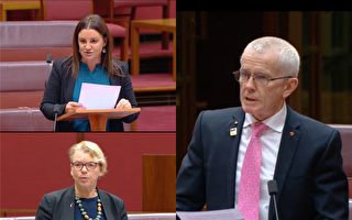 澳多位参议员吁外交部启动中澳关系调查