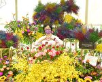 彰化縣府在13個公共空間 打造療癒花卉展示