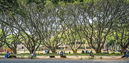 中原大学“泉源之谷暨全人大道”拥有美丽的树群，吸引许多师生与社区民众驻足休憩。
