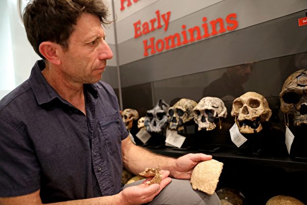組圖：以色列考古發現史前新種人類化石