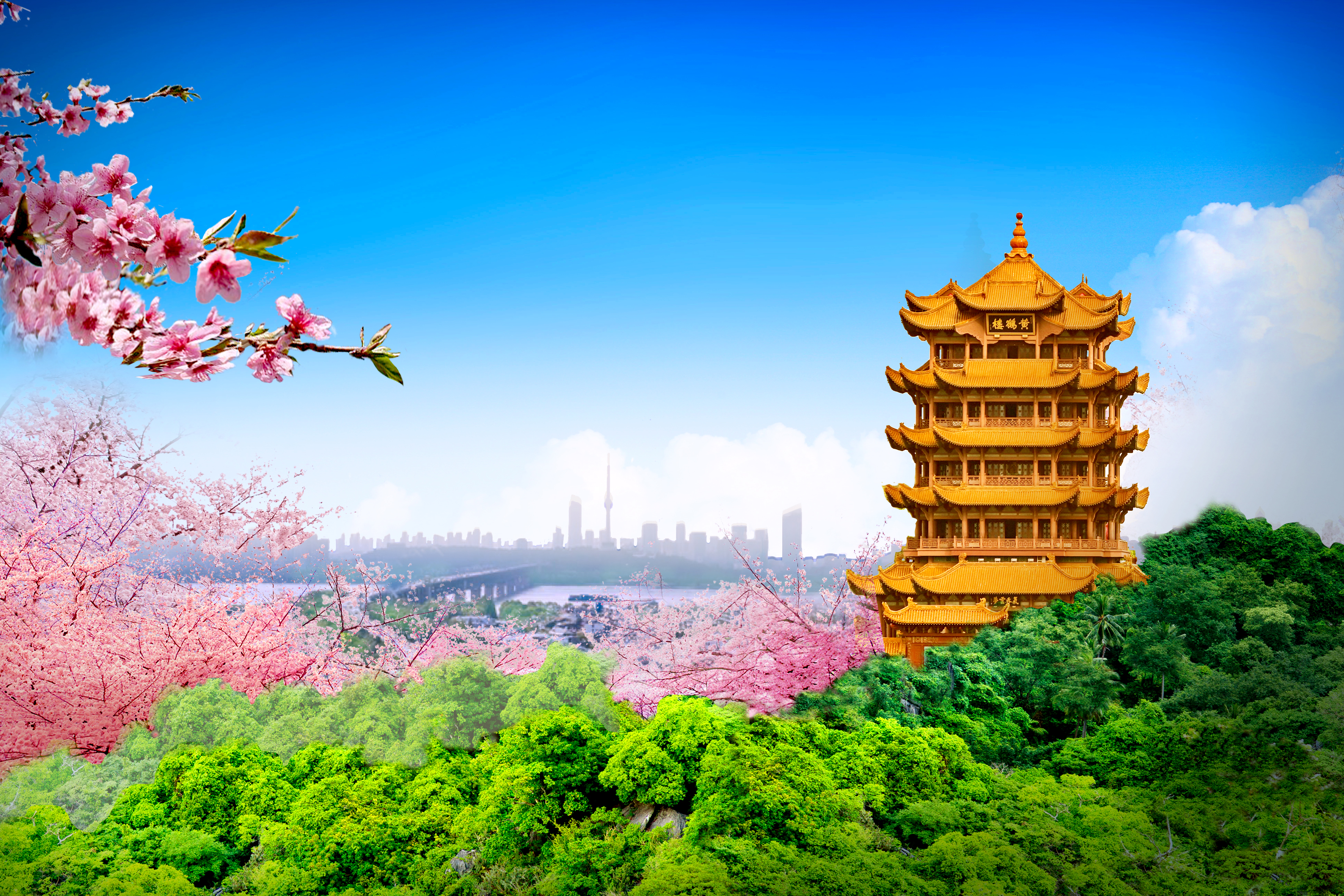 本周日活动预告▻男左女右？男右女左？性别视角下的政治（价值观）倾向- by 文社Wenshe, image size:3000x2000