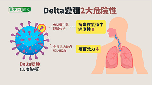 Delta變種在刺突蛋白的重要突變，增加病毒在呼吸道的適應性。（健康1+1／大紀元）