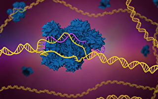 新突破：CRISPR技术成功治疗基因缺陷病人