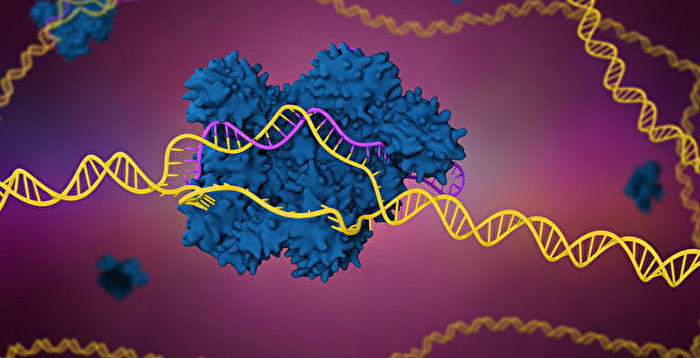 新突破：CRISPR技术成功治疗基因缺陷病人