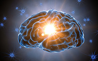 神經元研究新發現人腦信號模式：相移
