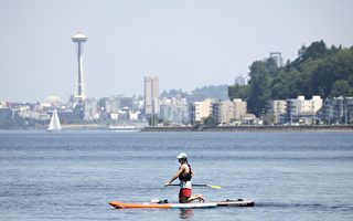 西雅图遭遇史上最强热浪袭击