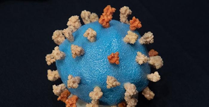 大陆增变异株病例 张文宏称第二波疫情抬头