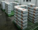 台湾荔枝“玉荷包”成功进军澳洲市场