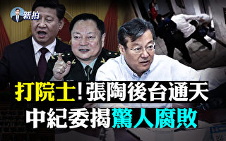 【拍案驚奇】張陶毆打兩院士 後台被曝「通天」