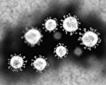 中共拒世衛再調查病毒起源 美科學界強烈反對