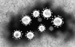 中共拒世卫再调查病毒起源 美科学界强烈反对