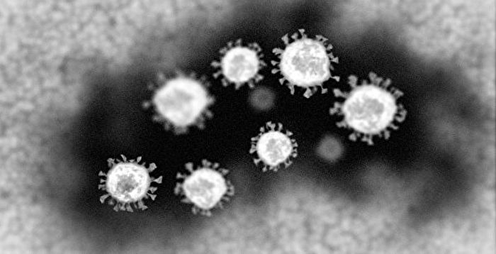 中共拒世卫再调查病毒起源 美科学界强烈反对