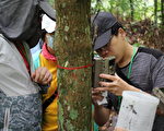 暑期線上課程12日開跑 體驗奧萬大特色課程