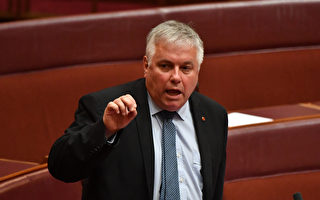 南澳前参议员宣布将竞选阿德莱德市长