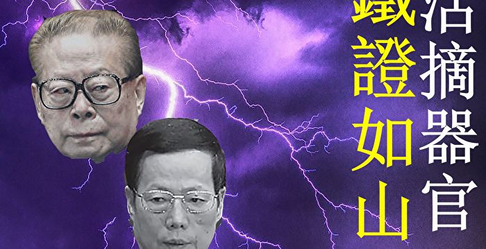 【内幕】张高丽为何承认江泽民是活摘元凶