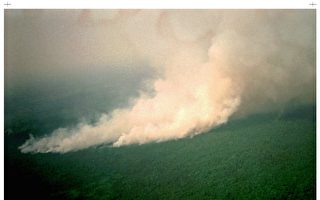 安省西北部发生森林大火 省府颁布紧急命令