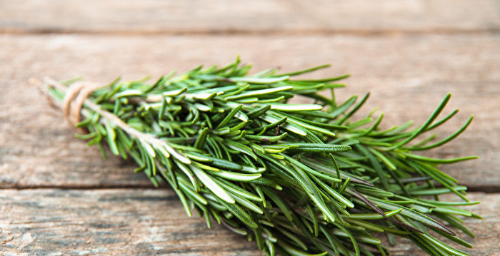 記憶3寶 泡茶喝增強記憶力 擊退大腦健忘 藥草 迷迭香 鼠尾草 大紀元