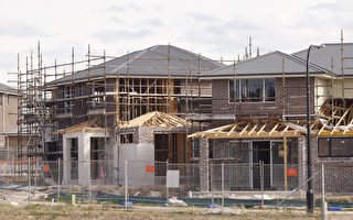 建材價格創20年最大漲幅 建房裝修成本大增