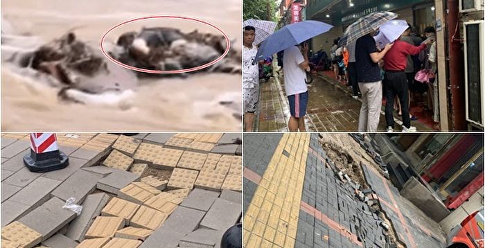 【新闻看点】郑州多地塌方严重 农村伤亡不让报