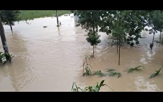 河南四水库泄洪淹村 两千村民被困无救援
