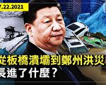 苏晓康：垮坝