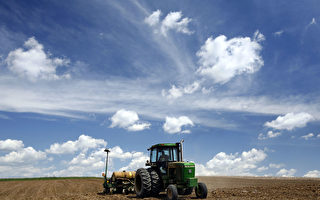 美国会参院关注中国购买农田 拟立法监管