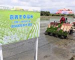 “幸福嘉义米”插秧首发 量产10吨品牌米