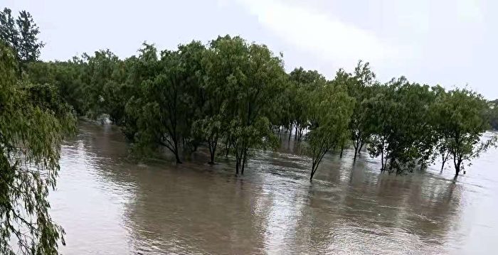 【一线采访】台风再登陆 浙江洪水淹农田