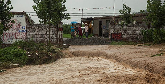 百头猪被淹死 郑州农民绝望：天都塌了