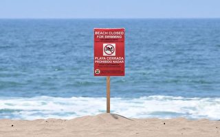 海水含大量致病細菌 美國7月關閉數十個海灘