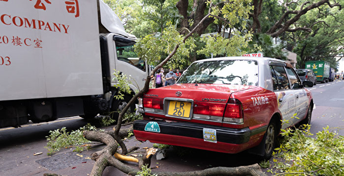 组图：香港尖沙咀海防道塌树 两辆车受损