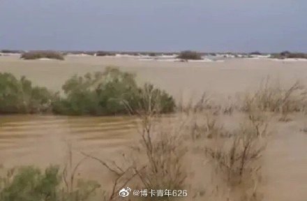 塔克拉瑪干沙漠現洪災 中石化3萬套設備被淹