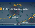 【談股論金】Delta疫情對美股及經濟影響有限？