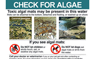 加州警告索诺玛县水域毒藻泛滥