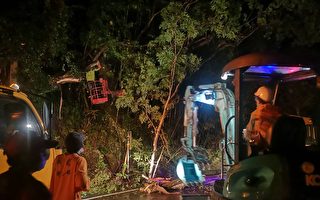 卢碧台风大雨致复兴区民宅土石流及路树倒塌