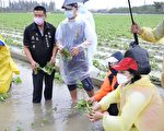 云林农损扩大至5千多万元 全品项救助金9日公告