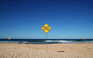 确保游泳者安全 新州在更多海滩采用智能技术