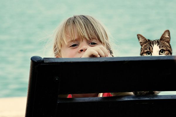 幼兒攀爬陽台欄杆遭貓咪阻攔 視頻熱傳