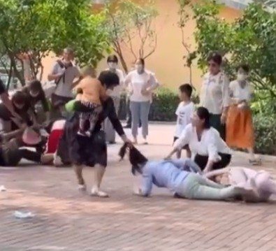 游客群殴事件 北京野生动物园声明引热议