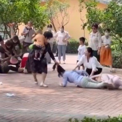 動物模仿遊客群毆？北京動物園聲明火了