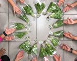 教室小农一步蔬果 新上食农教育获肯定